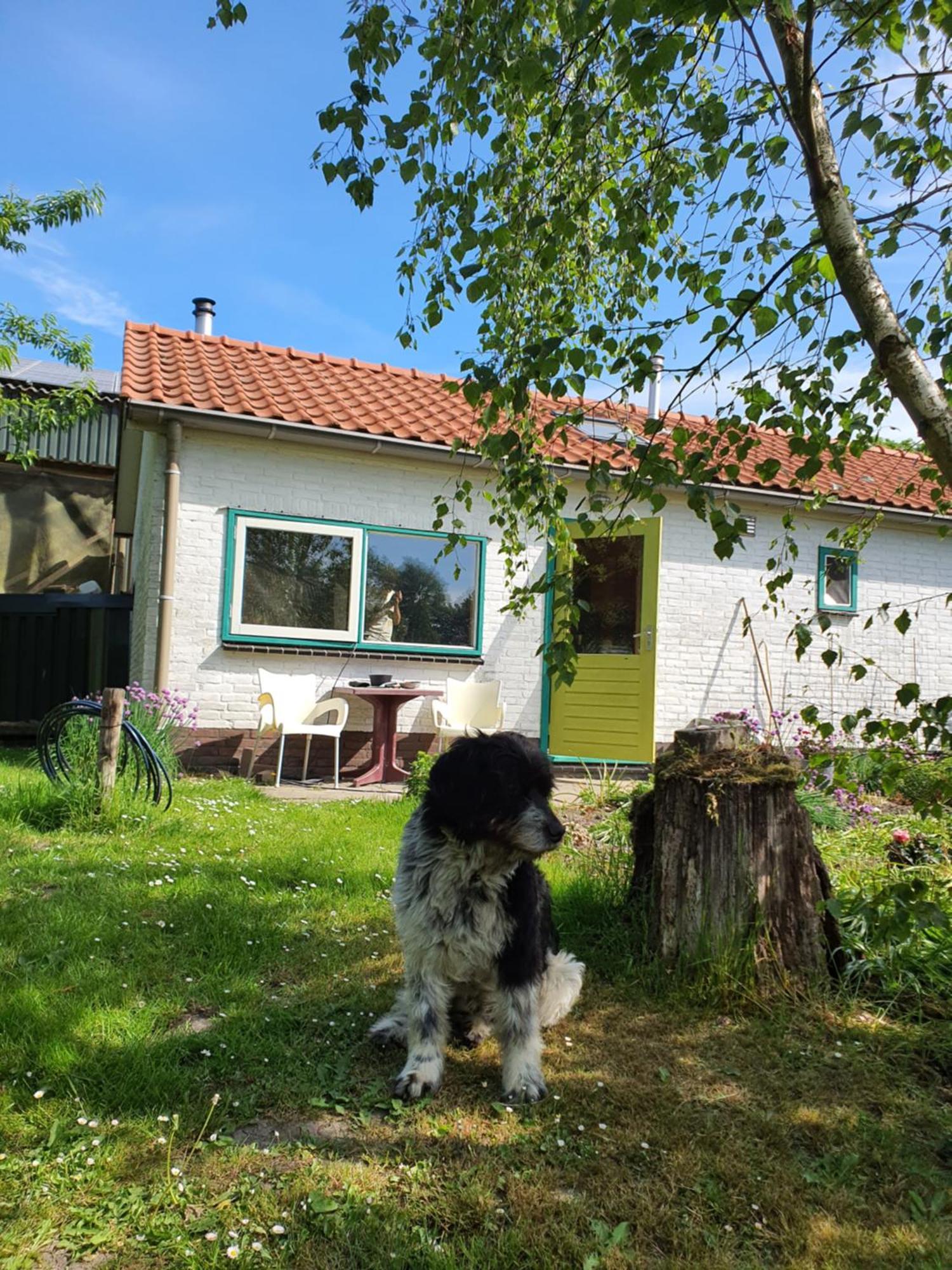Huisje Fiederels Villa Bant Exterior foto